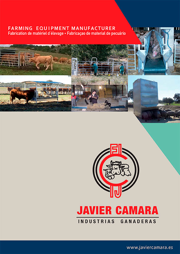 русский каталог