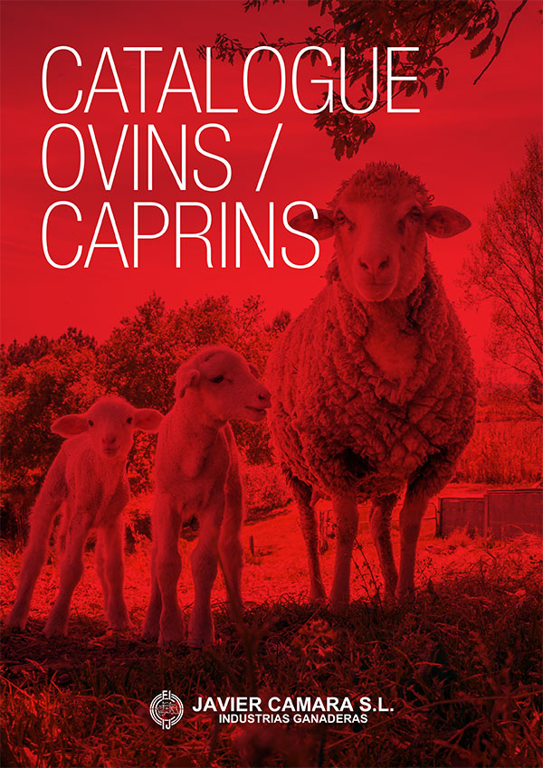 Catalogue Français des moutons